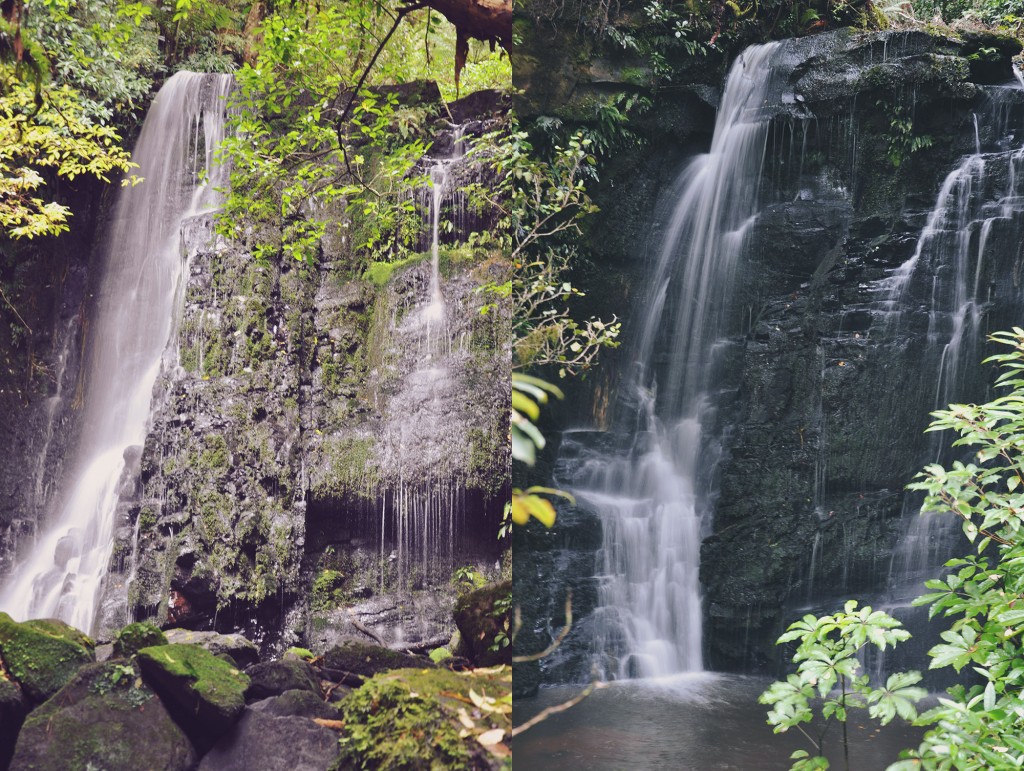 DSC_2946_matai_falls_copy