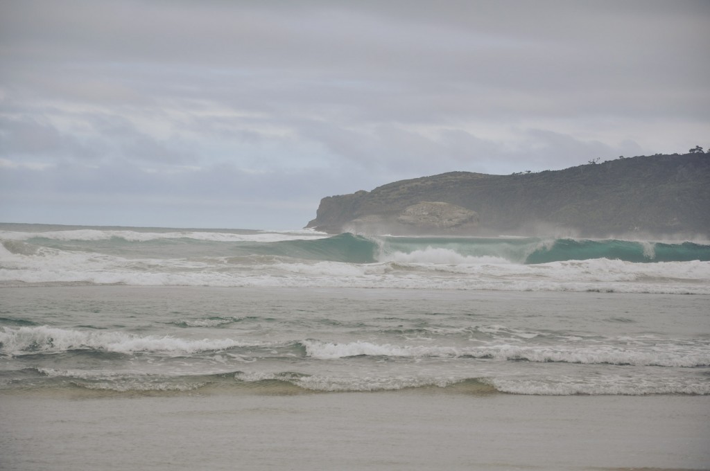 DSC_2978_copy